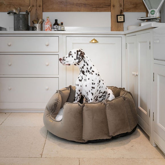 Lords and Labradors Velvet High Wall Dog Bed, product image 7