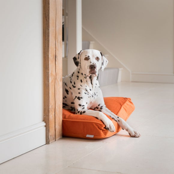 Lords and Labradors Velvet Dog Cushion, product image 32