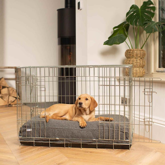 Lords and Labradors Boucle Dog Cushion, product image 13