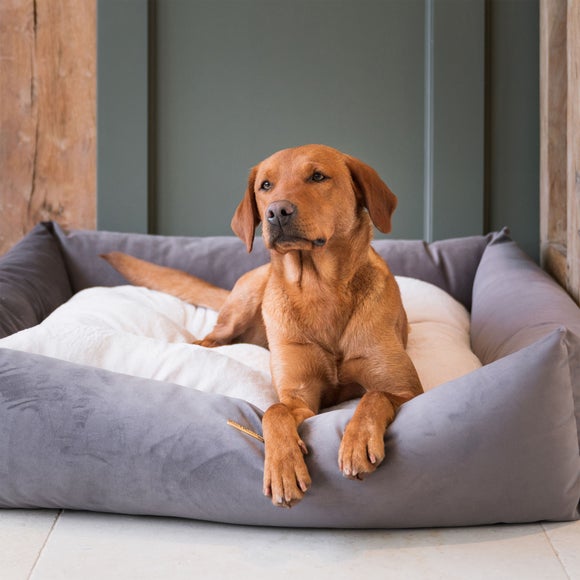 Lords and Labradors Velvet Box Dog Bed, product image 5