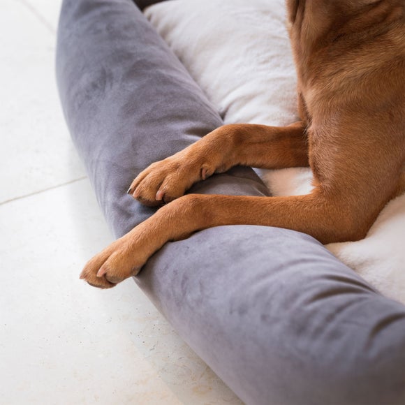 Lords and Labradors Velvet Box Dog Bed, product image 6