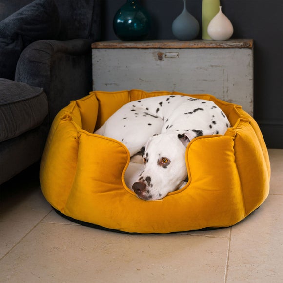 Lords and Labradors Velvet High Wall Dog Bed, product image 14