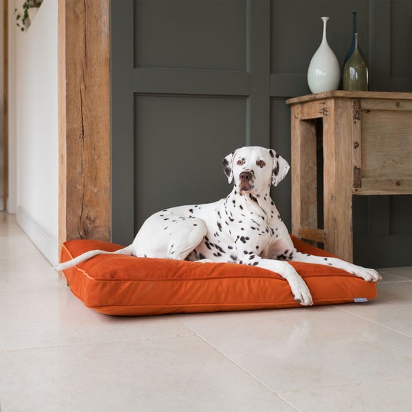 Lords and Labradors Velvet Dog Cushion, product image 85