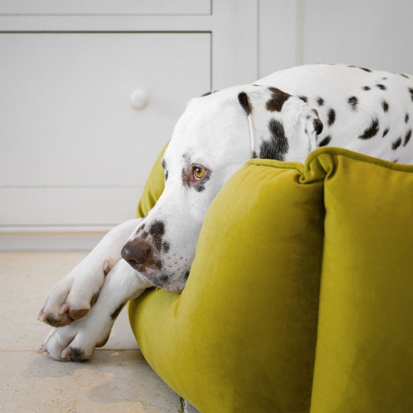 Lords and Labradors Velvet High Wall Dog Bed, product image 39
