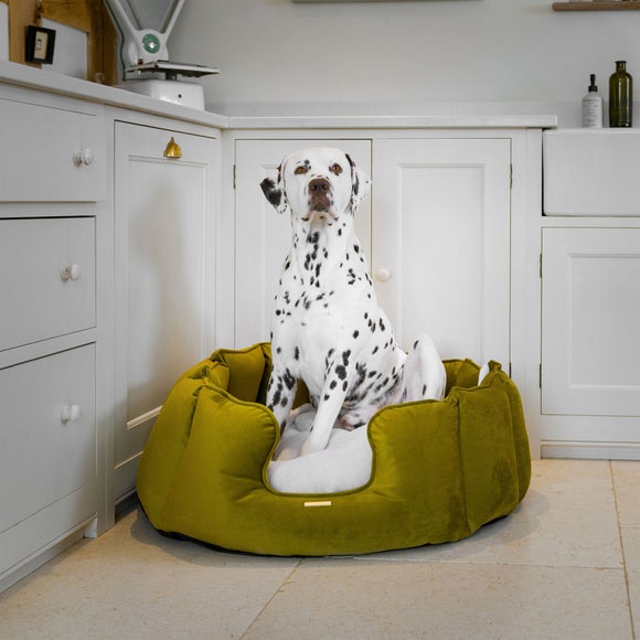 Lords and Labradors Velvet High Wall Dog Bed, product image 40