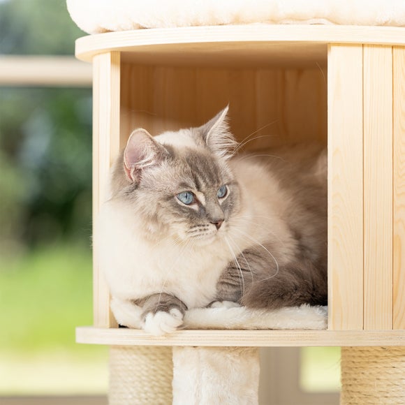 Lords and Labradors The Loft Cat Scratch Post