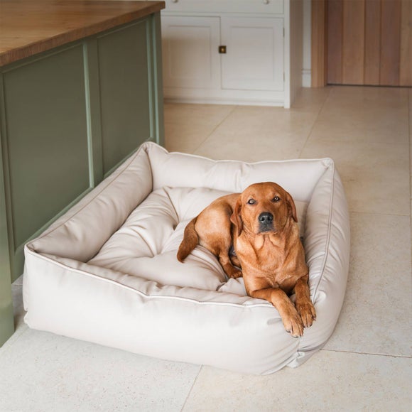 Lords and Labradors Rhino Leather Box Dog Bed, product image 10