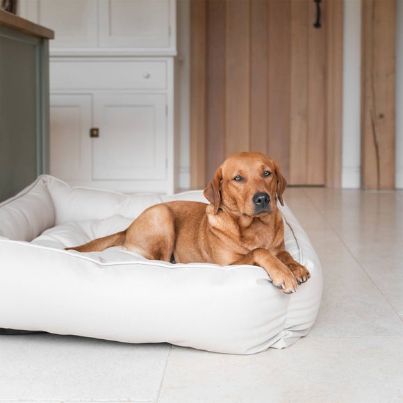Lords and Labradors Rhino Leather Box Dog Bed, product image 11