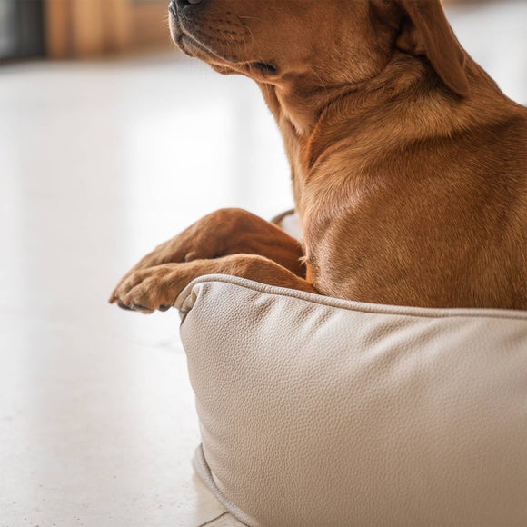 Lords and Labradors Rhino Leather Box Dog Bed, product image 12