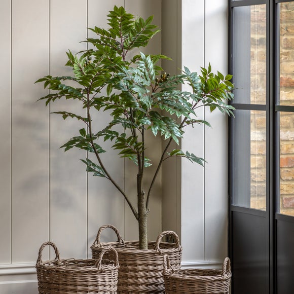 Artificial Medium Chinese White Olive Tree in Black Plant Pot