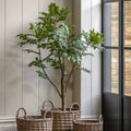 Artificial Medium Chinese White Olive Tree in Black Plant Pot