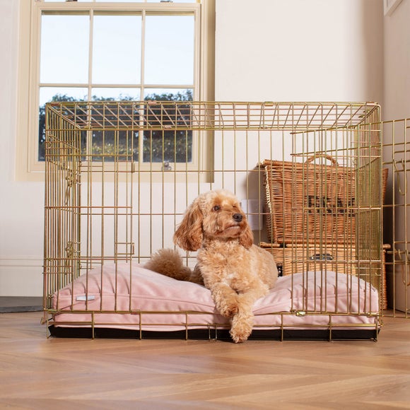 Lords & Labradors Velvet Pet Cushion, product image 3