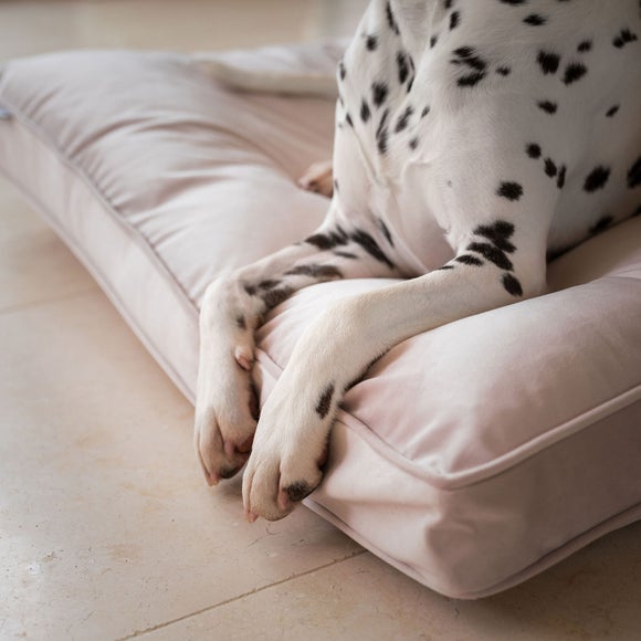 Lords & Labradors Velvet Pet Cushion, product image 8