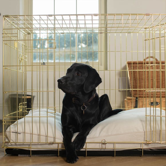 Lords & Labradors Velvet Pet Cushion, product image 9