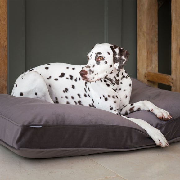 Lords & Labradors Velvet Pet Cushion, product image 18